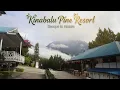 Download Lagu Mountain Vibes and Comfort Food at The Pines Restaurant, Kinabalu Pine Resort, Malaysia 