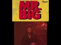 Download Lagu Mr. Big - NOTHING BUT LOVE