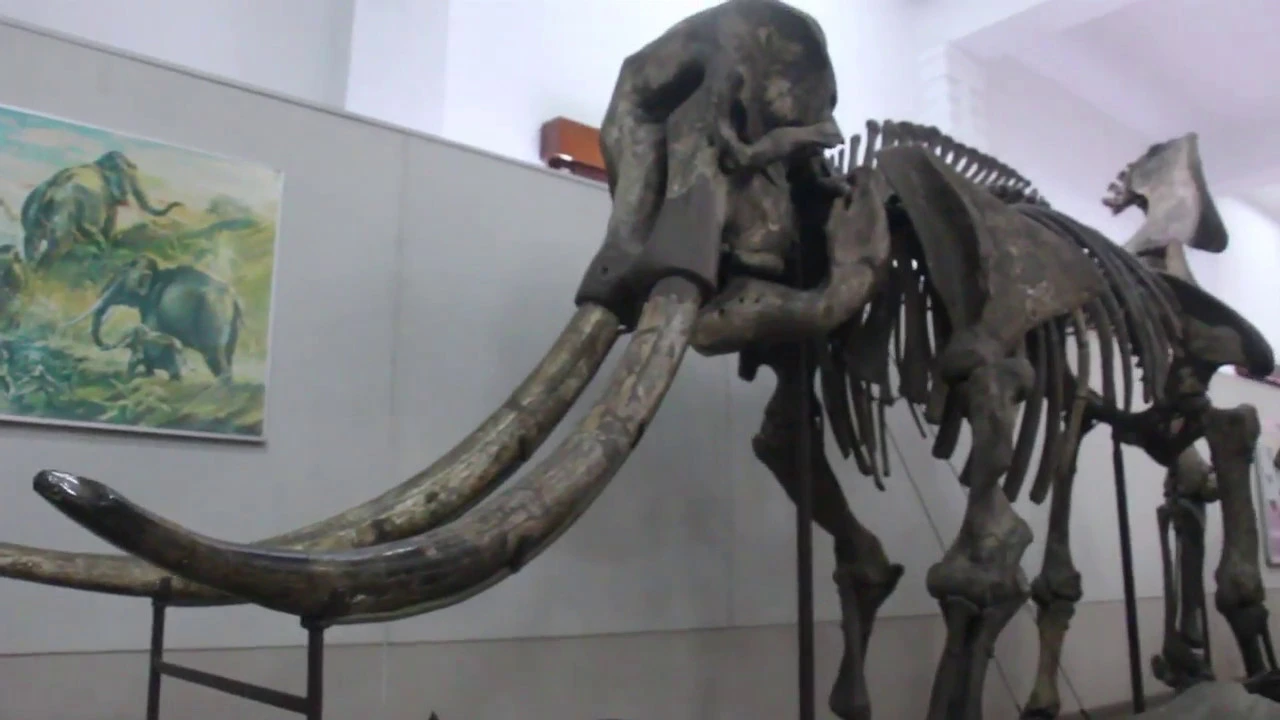 Eps 25 : Sejarah batu mulia Museum Geologi Bandung