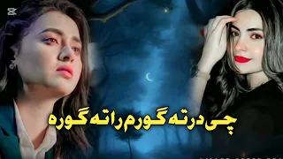 Che Dar Ta Go Ram Ra Goora Pastho New Songs Pastho Trading Songs Feliz Sapoot Me 