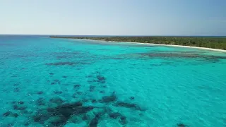 Hidden Gem of The Bahamas