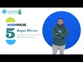 AOSP Pulse Chapter 2 Setting Up a Fast Local Repo Mirror Beginner to Expert Guide