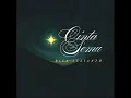Cinta Semu