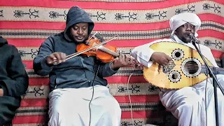 أجمل وأروع تقاسيم عود وكمان من الاخوين الفنانين مصطفى وعبد المجيد حيفضي 