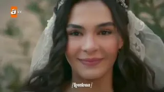 حالات واتس اغنية غصن الخوخ 