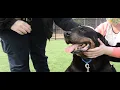 Animal Control Officer Ruu Weist