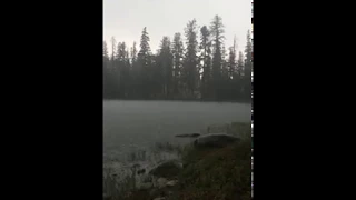 Lightning Strikes Family Injures Father And Children 