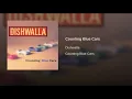Counting Blue Cars