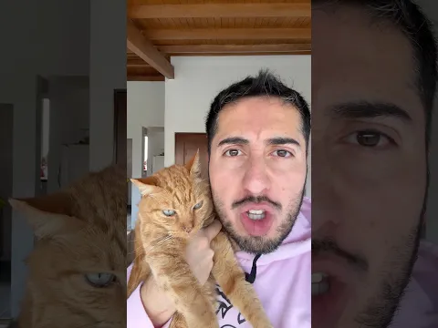 Nuestro video no fue viral