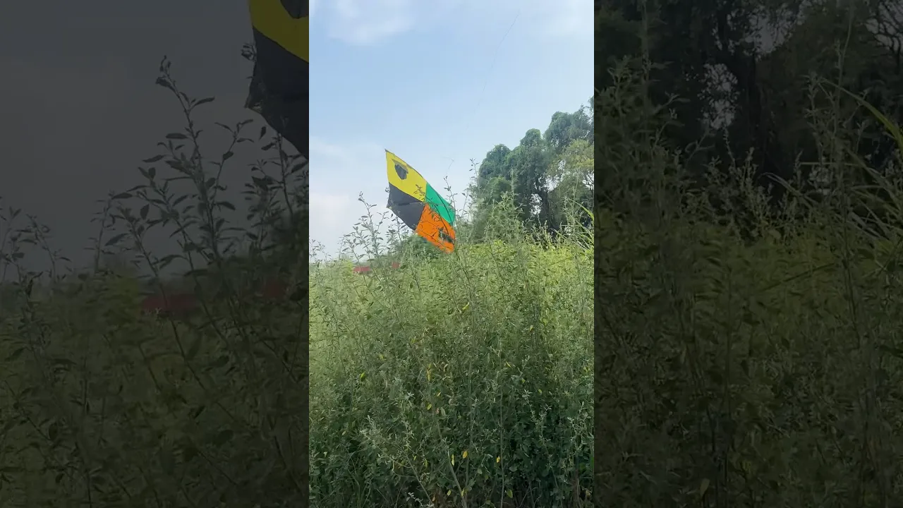 #kite