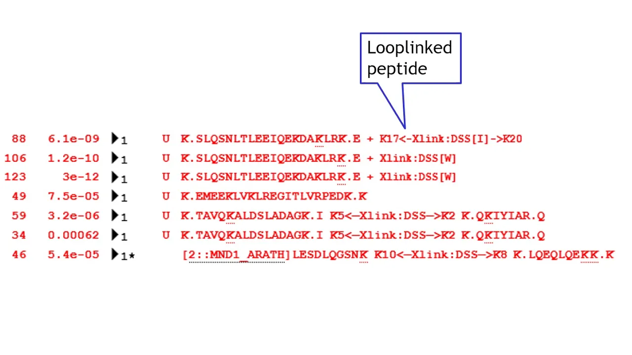 Identifying intact crosslinks with Mascot Server