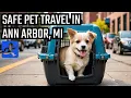 Find Safe and Comfortable Pet Transportation in Ann Arbor MI