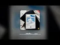 Seyi Vibez - BACK 2 U