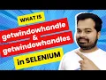 What are GetWindowHandle and GetWindowHandles in Selenium Selenium Basics