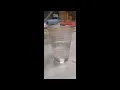 Resin Paint Mixing Cups Review TCP Global 1000ml Graduated Cups