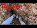 A Day On The TRAPLINE Pt 1