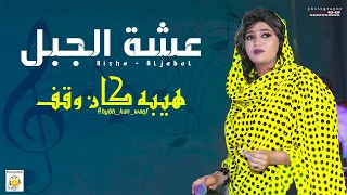 عشة الجبل هيبة كان وقف New Sudanese Music اغاني سودانية 2025  عشة الجبل هيبة كان وقف New Sudanese Music اغاني سودانية 2025