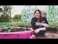 7 Kiddie Pool Raised Garden Bed CHEAP Container Garden Ideas Roots and Refuge