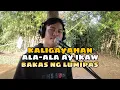 Download Lagu Eddie Peregrina Tagalog Medley - Jesrack Evangelista