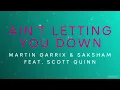 Martin Garrix & Saksham Feat. Scott Quinn - Ain't Letting You Down | Slowed + Reverb
