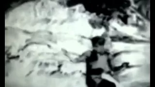 Nijinsky 1912-L Apres-midi d un Faune full version