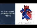 Introduction to Transcutaneous Pacing by M Mazwi OPENPediatrics
