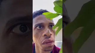 Bisha Sagaalaad 4 2025 