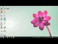 How to make a batch file of any website