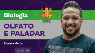 Olfato e paladar - Biologia - Ensino Médio