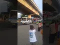 Download Lagu kirain itu bus albino teryata bus mahesa