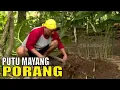 Download Lagu PUTU MAYANG PORANG | JEJAK SI GUNDUL (04/11/20) Part 3