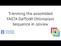 5 Trimming the Sequence Assembly using Jalview