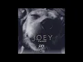 YuKI -  Joey | Official Lyrics Video