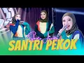 Download Lagu Shinta Arsinta - SANTRI PEKOK (Official Music Video ANEKA MUSI)