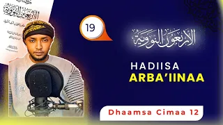 19 Hadiisa Arba Iinaa Dhaamsa Cimaa 12 Jireenya Kee Jijjiiran 