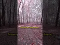 Download Lagu POV: Fall Color Blindness