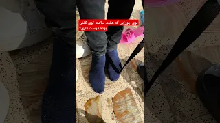 فوتفتیش جوراب ارباب برده برده پانمایی پالیسی 