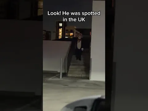 Cat in the hat spotted in the UK