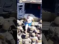 Shows Arrest Of USF Suspect Hisham Abugharbieh
