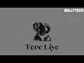 Download Lagu Tere Liye Bolly Tech | DJ HOPE