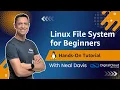 Linux File System for Beginners - Hands-On Tutorial
