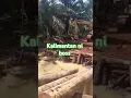 Download Lagu Kalimantan nih boss #viral #video #kalimantan