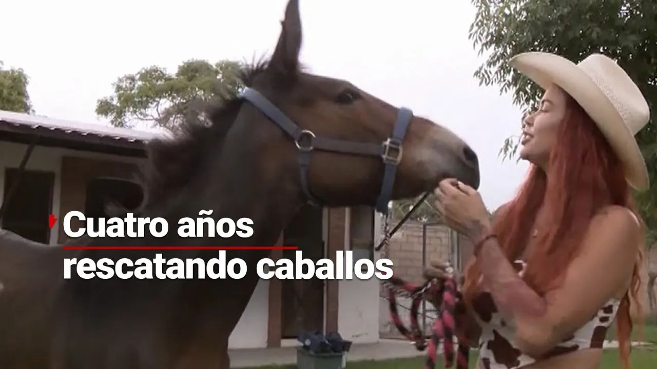 ¡BRAVO! ‘Cuacolandia’, el refugio para caballos rescatados