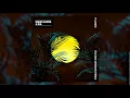 David Guetta & Sia - Flames (Sylvain Armand Remix)