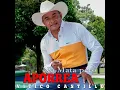 No me corra Cantinero - Vitico Castillo