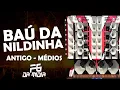 Download Lagu BAÚ DA NILDINHA - MÉDIOS FG DA MIDIA