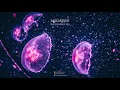 Yotto, Lane 8, Tinlicker, Nora En Pure, Bicep | The Odyssey 024 with MADARASI