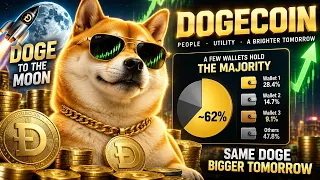 Just 13 Wallets Hold Almost Half Of All Dogecoin In Existence! DOGE News