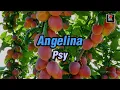 Download Lagu Psy - Angelina [Karaoke Classics HD]