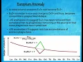 Basics of Geochemistry Part 5 Europium Anomaly REE